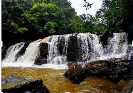 Mookanamane Abbi Falls